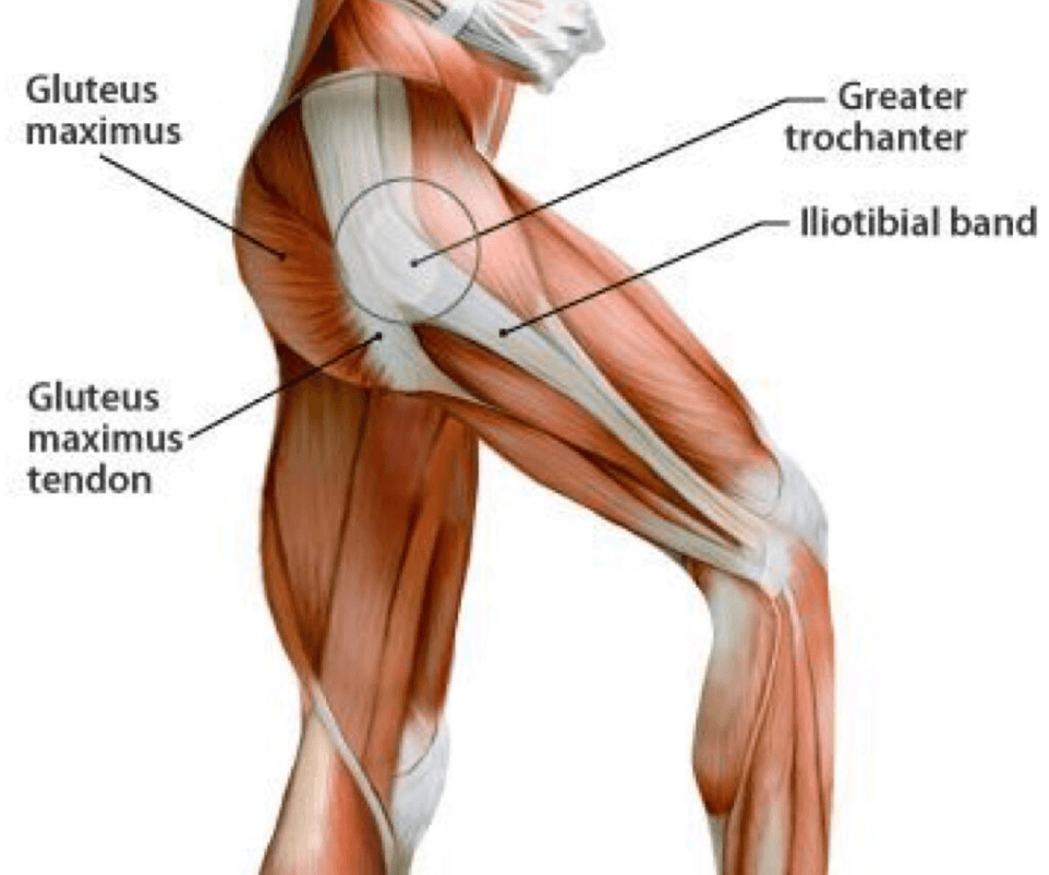 Hip Bursitis Treatment Sydney Nsw Trochanteric Bursitis Shoalhaven